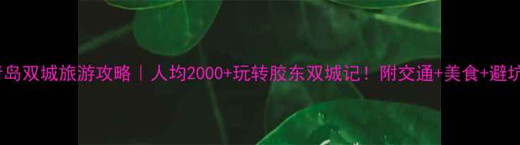 图片 🌊威海青岛双城旅游攻略｜人均2000+玩转胶东双城记！附交通+美食+避坑指南🚗1