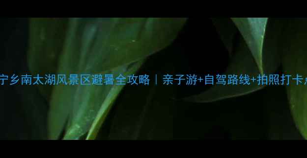 图片 🌊宁乡南太湖风景区避暑全攻略｜亲子游+自驾路线+拍照打卡点1