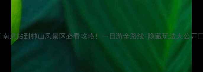 图片 🌟南京站到钟山风景区必看攻略！一日游全路线+隐藏玩法大公开🚇1