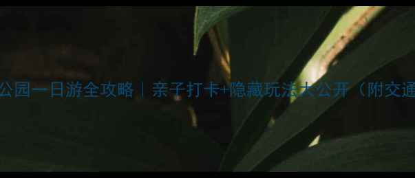 图片 🌟南宁狮山公园一日游全攻略｜亲子打卡+隐藏玩法大公开（附交通门票美食）