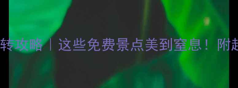 图片 🌟大同48小时玩转攻略｜这些免费景点美到窒息！附超全避坑指南📸2