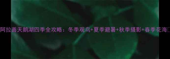 图片 🌟阿拉善天鹅湖四季全攻略：冬季观鸟+夏季避暑+秋季摄影+春季花海🌟1