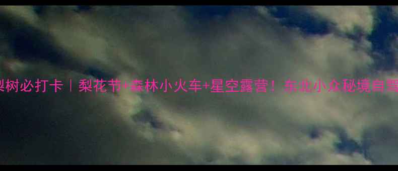 图片 🌸四平梨树必打卡｜梨花节+森林小火车+星空露营！东北小众秘境自驾全攻略1