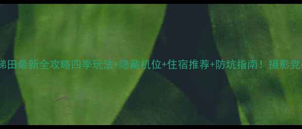 图片 🌾龙胜梯田最新全攻略四季玩法+隐藏机位+住宿推荐+防坑指南！摄影党必看！1