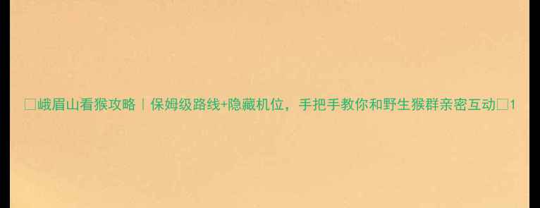 图片 🌿峨眉山看猴攻略｜保姆级路线+隐藏机位，手把手教你和野生猴群亲密互动🌿1