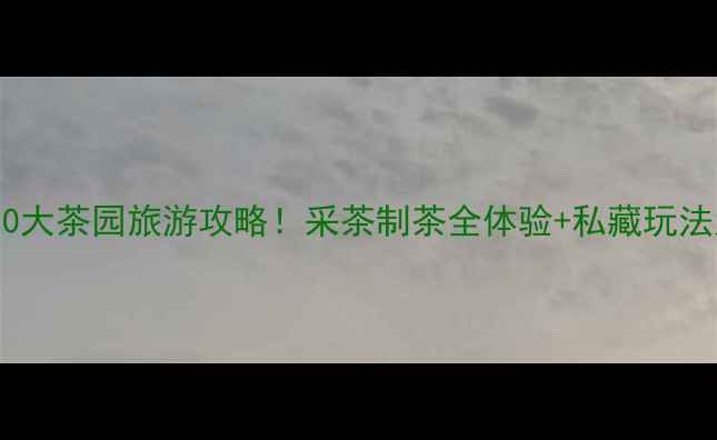 图片 🌿必去10大茶园旅游攻略！采茶制茶全体验+私藏玩法大公开2
