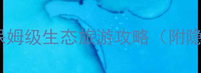 图片 🌿必去！哥斯达黎加保姆级生态旅游攻略（附隐藏玩法+避坑指南）🌍