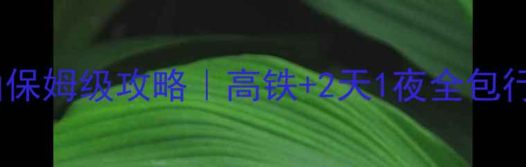 图片 🌿成都到峨眉山保姆级攻略｜高铁+2天1夜全包行程+避坑指南🚄