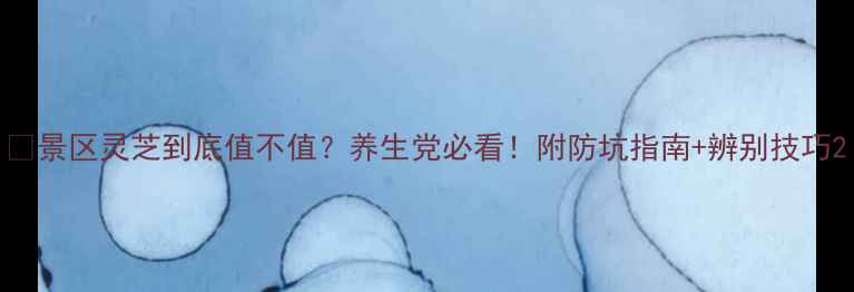 图片 🌿景区灵芝到底值不值？养生党必看！附防坑指南+辨别技巧2