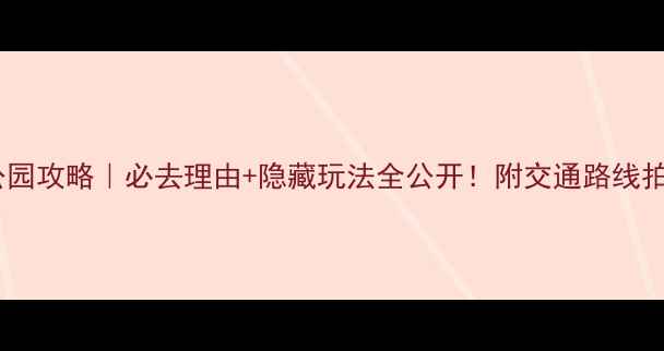 图片 🌿龙背山森林公园攻略｜必去理由+隐藏玩法全公开！附交通路线拍照点美食推荐1