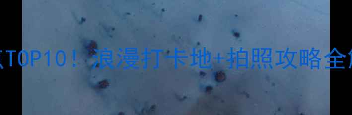 图片 📸郑州情侣必去景点TOP10！浪漫打卡地+拍照攻略全解锁（附交通指南）