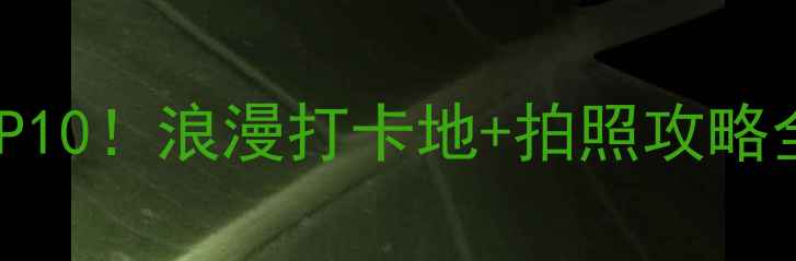 图片 📸郑州情侣必去景点TOP10！浪漫打卡地+拍照攻略全解锁（附交通指南）1