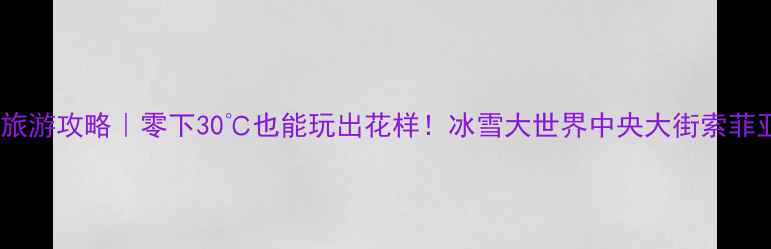 图片 🔥哈尔滨冬季旅游攻略｜零下30℃也能玩出花样！冰雪大世界中央大街索菲亚教堂全攻略2