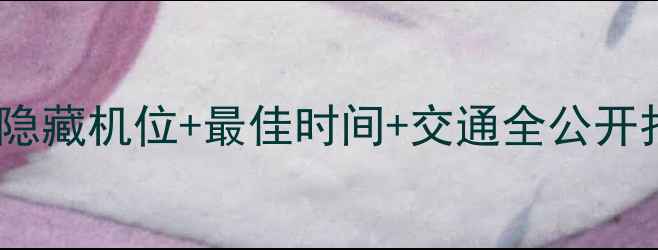 图片 🔥杜甫江阁看烟花攻略｜隐藏机位+最佳时间+交通全公开打卡成都新晋网红地标！2