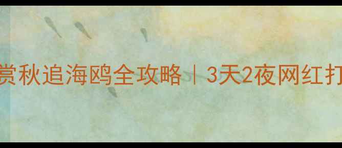 图片 🚗大连周边自驾游避暑赏秋追海鸥全攻略｜3天2夜网红打卡路线+油量油站地图2