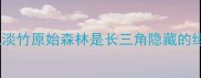 为什么说淡竹原始森林是长三角隐藏的绿野仙踪