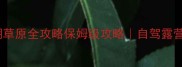 避暑亲子游必看仰天湖草原全攻略保姆级攻略自驾露营攻略草原日出日落全