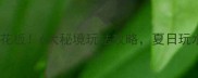 河北漂流天花板6大秘境玩法攻略夏日玩水指南速收