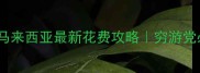 人均5000元玩转马来西亚最新花费攻略穷游党必看预算清单