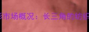 濮院羊毛衫市场概况长三角的纺织产业明珠