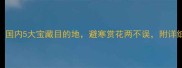 2月必去国内5大宝藏目的地避寒赏花两不误附详细攻略