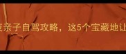 京山周边游天花板3天2夜亲子自驾攻略这5个宝藏地让孩子秒变自然小博士