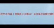 楚雄夜生活推荐楚雄晚上去哪玩这份夜游攻略收藏好