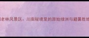 古蔺黄荆老林风景区川南秘境里的原始绿洲与避暑胜地全攻略