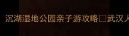 武汉必去小众秘境沉湖湿地公园亲子游攻略武汉人私藏的宝藏湿地