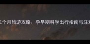 怀孕三个月旅游攻略孕早期科学出行指南与注意事项